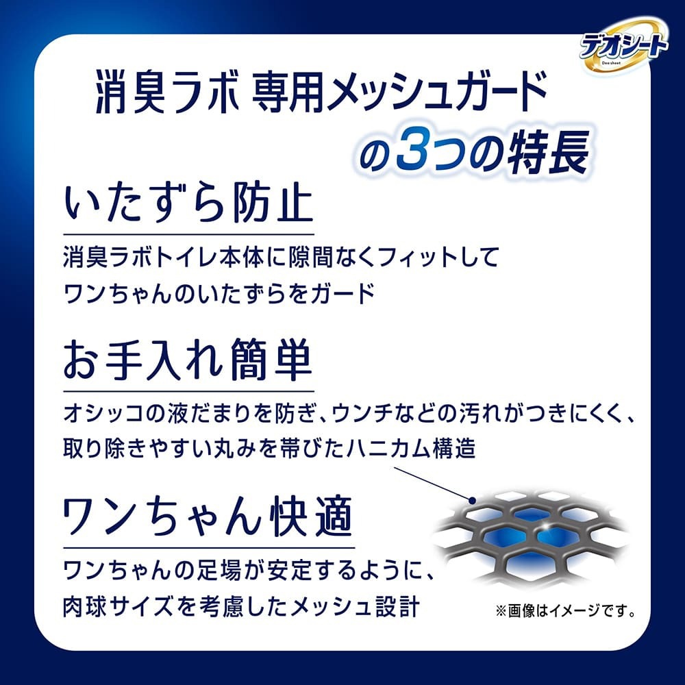 ��ˡ����㡼�� �ǥ������� �ý���� �ȥ��쥷���ƥ� ���ѥ�å��奬���� �쥮��顼 1�� (�����ɥå�)