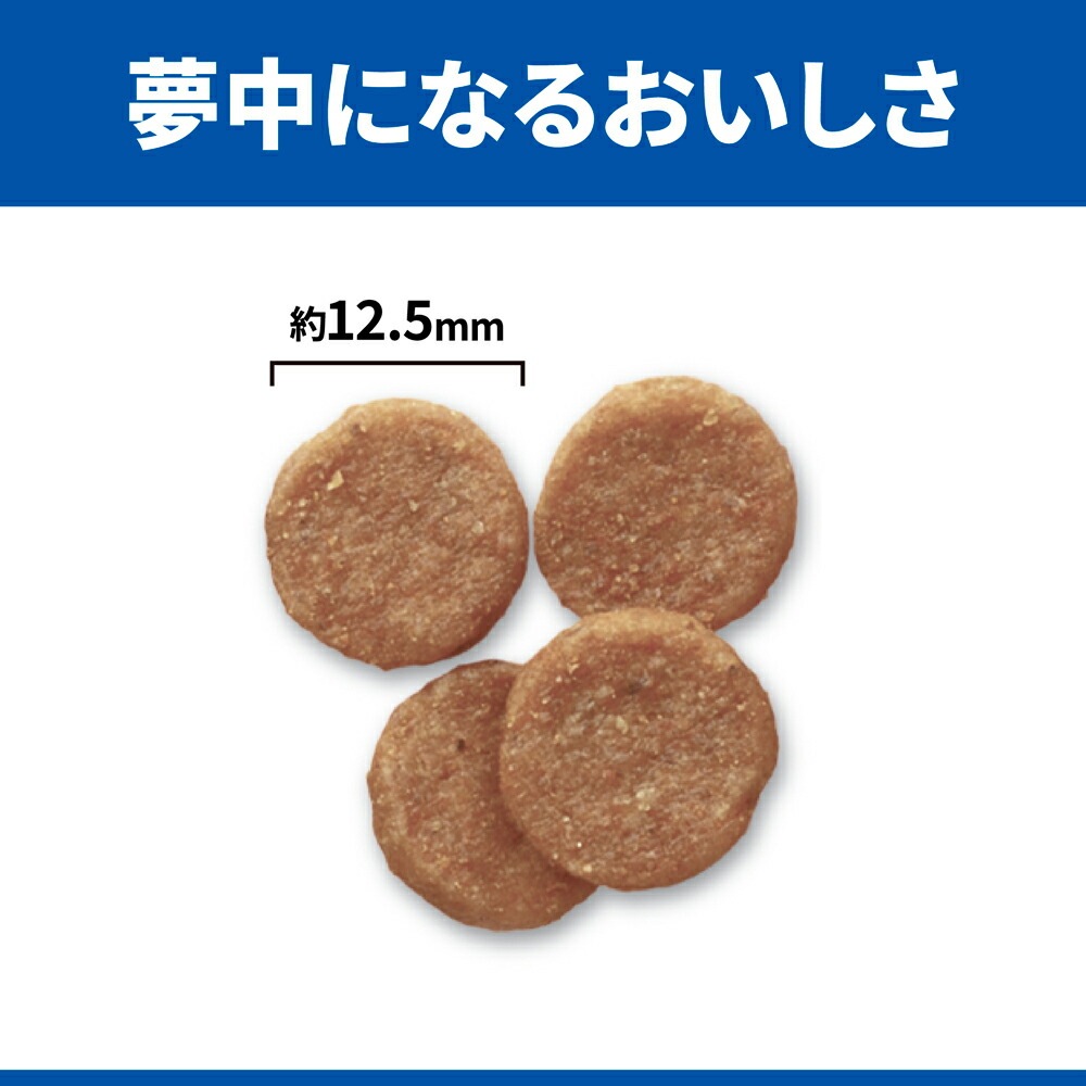 ��2.5kg��2�ޡۥҥ륺 �������󥹡��������å� ���̥��ݡ��� ��γ 1�аʾ��������������/��ǥ������ˤ� ������ �����Хå����ޤ��� (�����ɥå�)