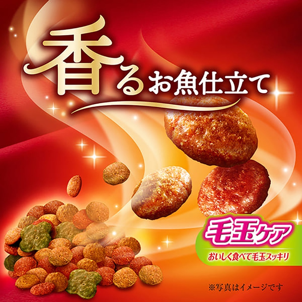 ��200g��14Ȣ�ۥ�ˡ����㡼�� ��Υ��ס��� ����������� ��뤪����Ω�� �Ӷ̥��� ��ǭ�� 4��Υ������� �����쥷�� (ǭ������å�)