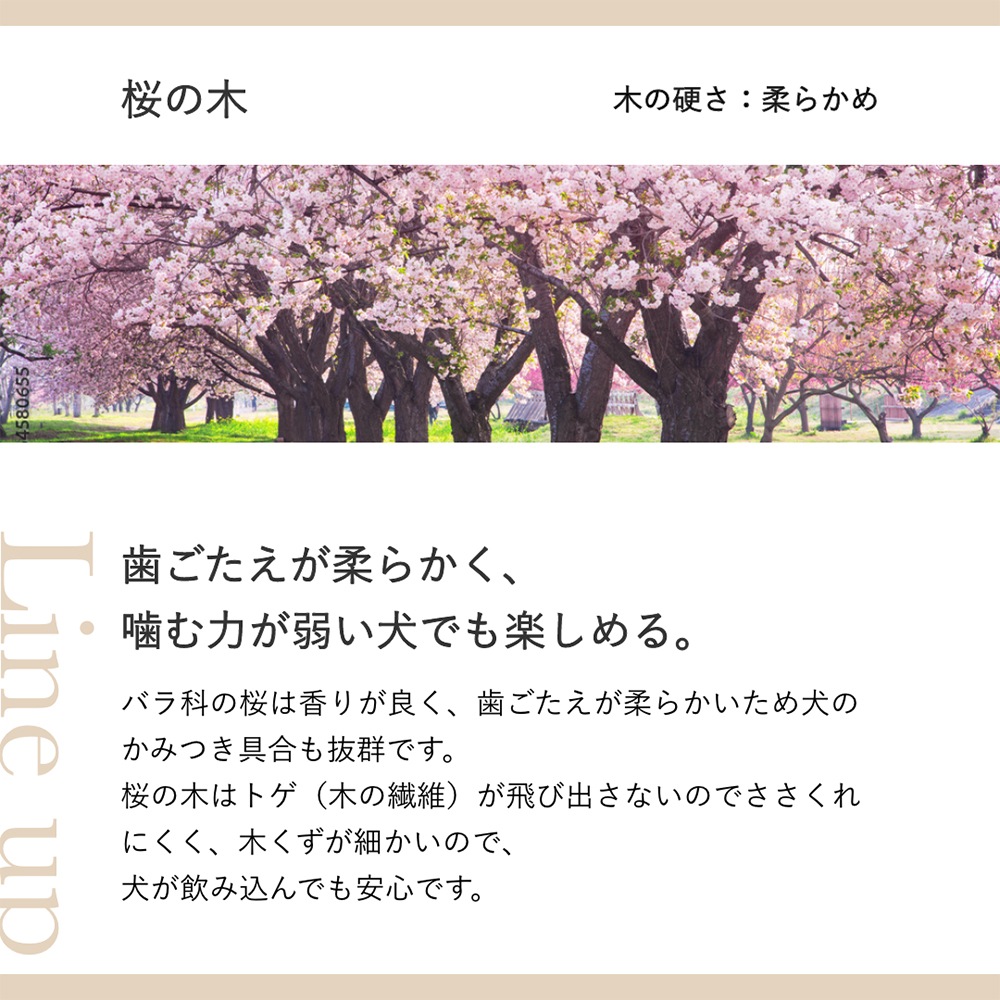 �ڥ᡼���ءۤ������鿷���� Chew for more trees ���塼�ե����⥢�ȥ꡼�� �� XS 10cm Ķ������������(�����ɥå�)[M�� 1/5]