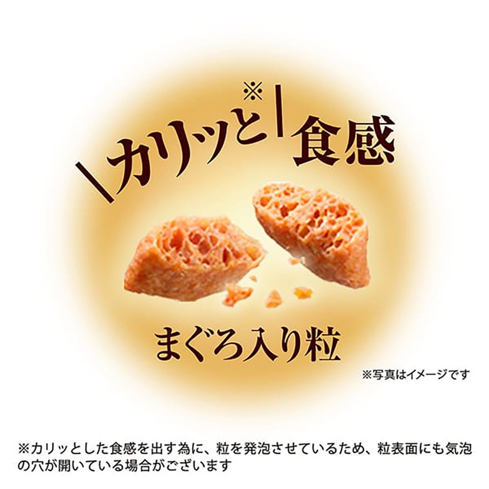 ��240g��14Ȣ�ۥ�ˡ����㡼�� ��Υ��ס��� ����������� ��뤪����Ω�� �Ӷ̥��� ��ǭ�� �����쥷�� (ǭ������å�)