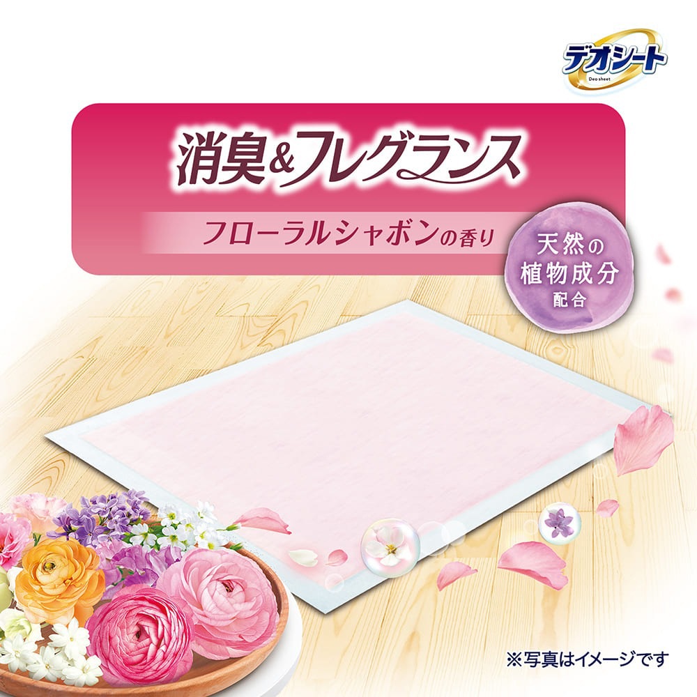 ��ˡ����㡼�� �ǥ������� �ý�&�ե쥰��� �ե�����륷��ܥ�ι�� �쥮��顼 �ڥåȥ����� 80�� (�����ɥå�)