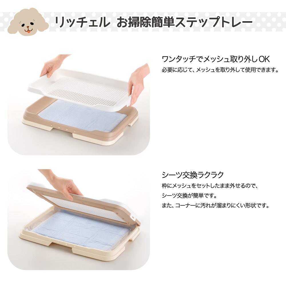 フィッシャー Fischer ユニセックス Color スノーボード ビンディングno スキー