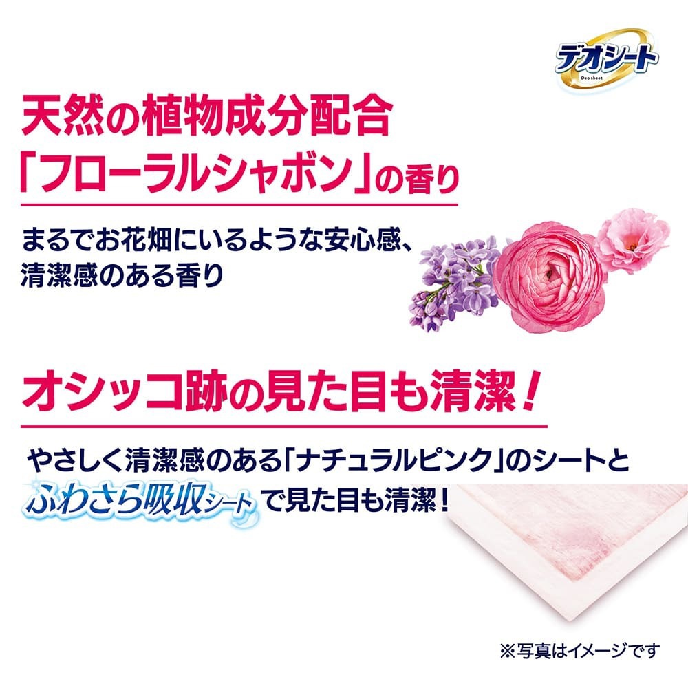 ��ˡ����㡼�� �ǥ������� �ý�&�ե쥰��� �ե�����륷��ܥ�ι�� �쥮��顼 �ڥåȥ����� 120�� (�����ɥå�)