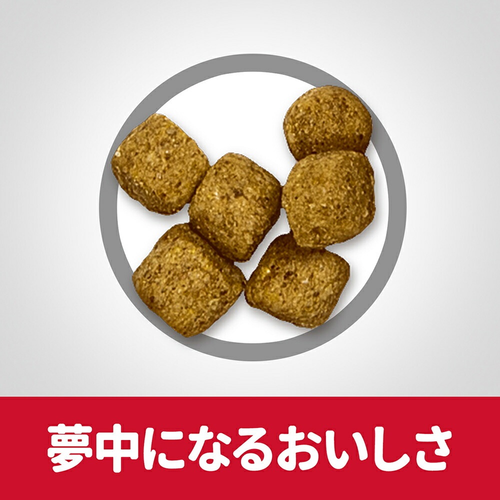 ��6.5kg��2�ޡۥҥ륺 �������󥹡��������å� ���˥� �饤�� ��γ 7�аʾ� ���������ι����� ������ �����Хå����ޤ��� (�����ɥå�)