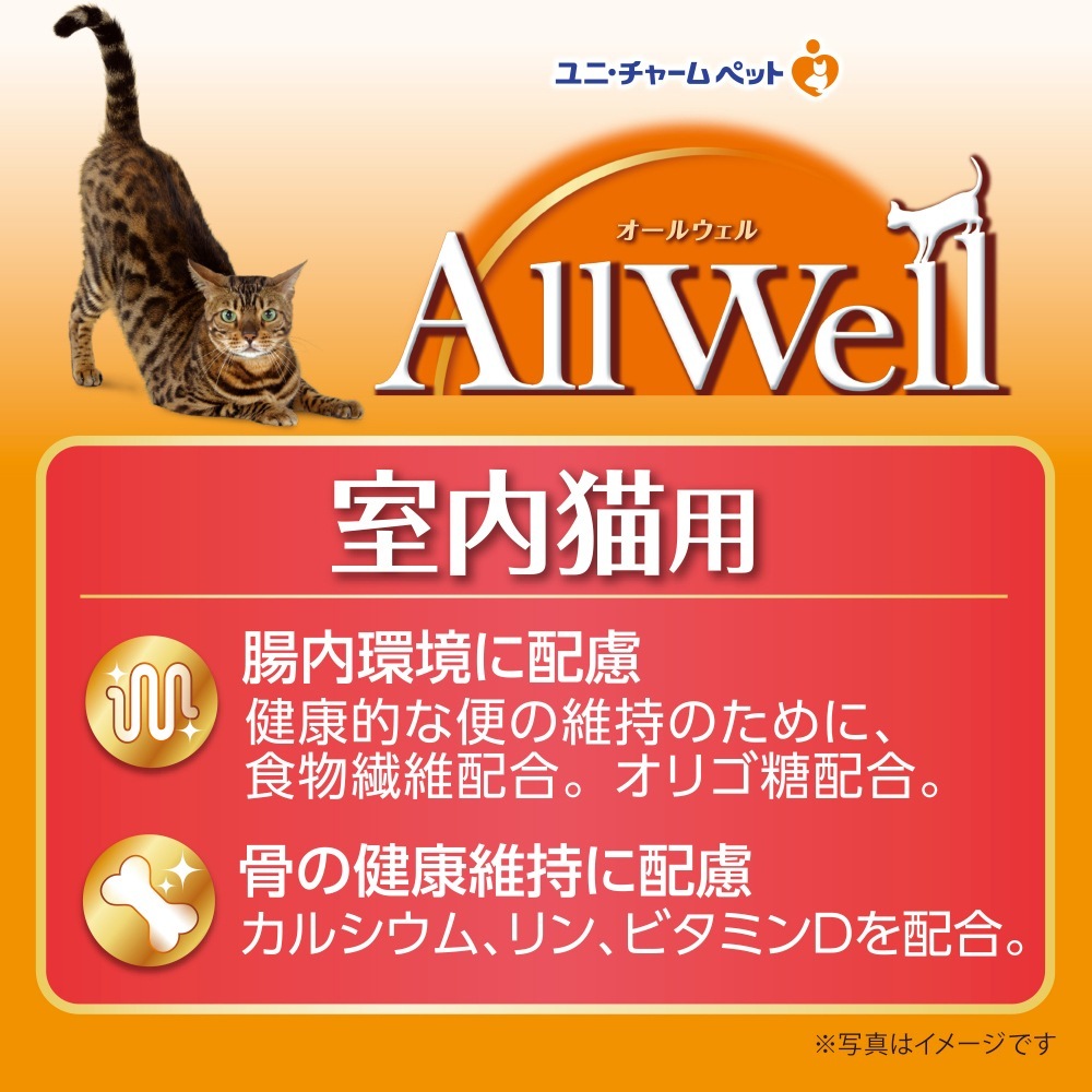 ��1.6kg��2�ޡۥ�ˡ����㡼�� AllWell ����ǭ�� ������̣ �Ԥ������Ȥ����ߥե꡼���ɥ饤�ѥ��������� (ǭ������å�)