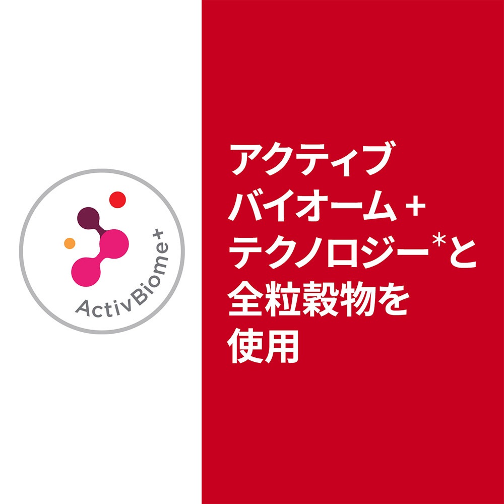 ��2.5kg��2�ޡۥҥ륺 �������󥹡��������å� Ĳ�η򹯥��ݡ��ȥץ饹 �������� 1�аʾ�������������� ������ �����Хå����ޤ��� (�����ɥå�)