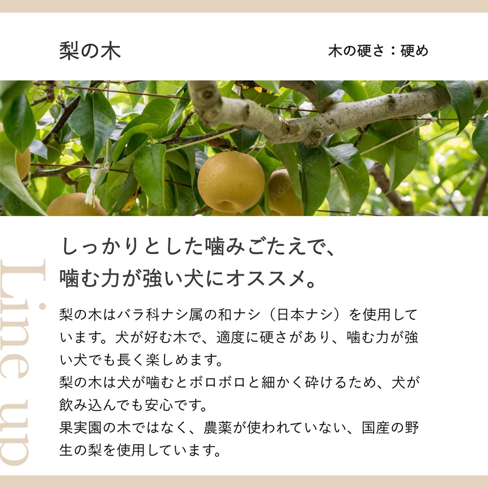 �ڥ᡼���ءۤ������鿷���� Chew for more trees ���塼�ե����⥢�ȥ꡼�� �� XS 10cm Ķ������������(�����ɥå�)[M�� 1/5]