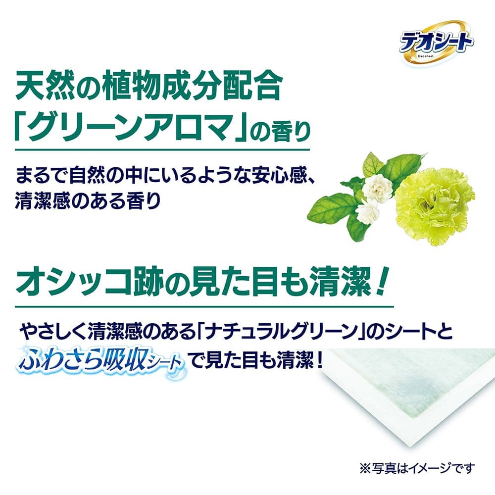 ��ˡ����㡼�� �ǥ������� �ý�&�ե쥰��� ���꡼�󥢥��ޤι�� �쥮��顼 �ڥåȥ����� 120�� (�����ɥå�)