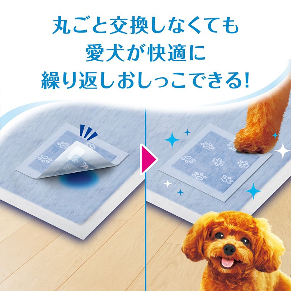 ��ˡ����㡼�� �ǥ������� ���쥤�ѥå� �ڥåȥ����� M������ 64�� (�����ɥå�)