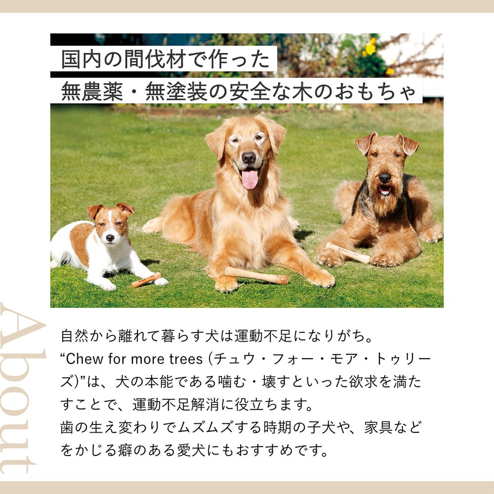 �������鿷���� Chew for more trees ���塼�ե����⥢�ȥ꡼�� �� M 20cm �淿���緿��(�����ɥå�)