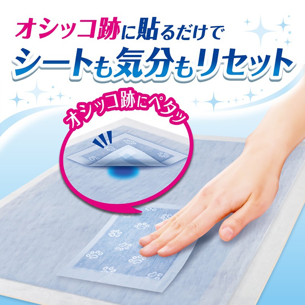 ��ˡ����㡼�� �ǥ������� ���쥤�ѥå� �ڥåȥ����� S������ 80�� (�����ɥå�) 