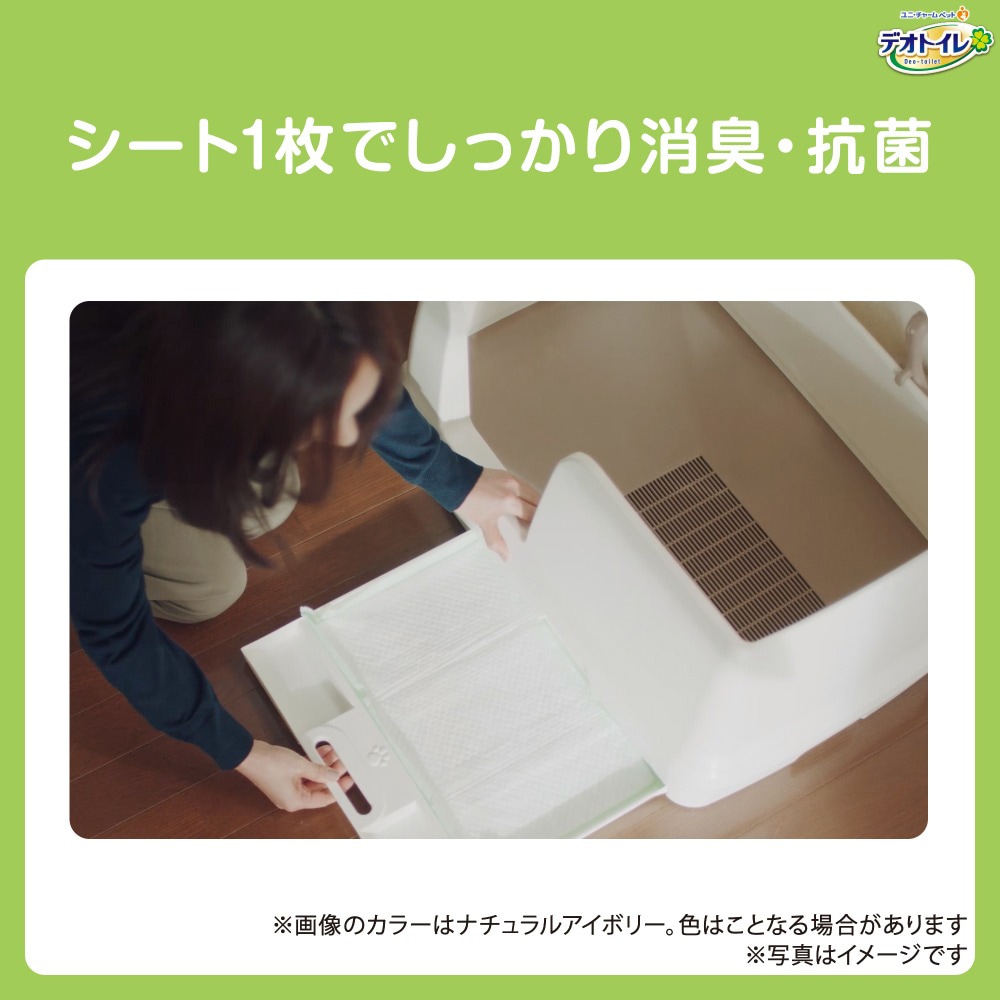 ��ˡ����㡼�� �ǥ��ȥ��� ��Ŭ�磻�� ���Υ��å� �⥫���졼 (ǭ������å�)