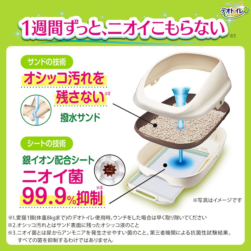 ��ˡ����㡼�� �ǥ��ȥ��� �餯�餯����ץ� ���Υ��å� �ʥ����륢���ܥ꡼ �����ƥ�ȥ��� (ǭ������å�)