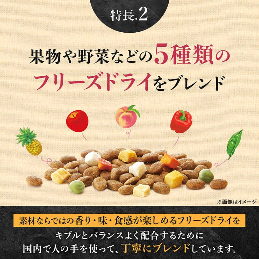 �˥塼�ȥ� ����ץ�� �ץ�ߥ���֥��� Ķ���������������� ������ �ӡ��� 1.5kg(�����ɥå�)[������]