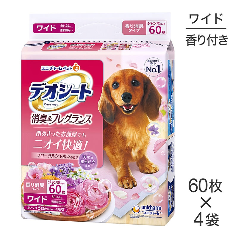 ��60���4�ޡۥ�ˡ����㡼�� �ǥ������� �ý�&�ե쥰��� �ե�����륷��ܥ�ι�� �磻�� �ڥåȥ����� (�����ɥå�)