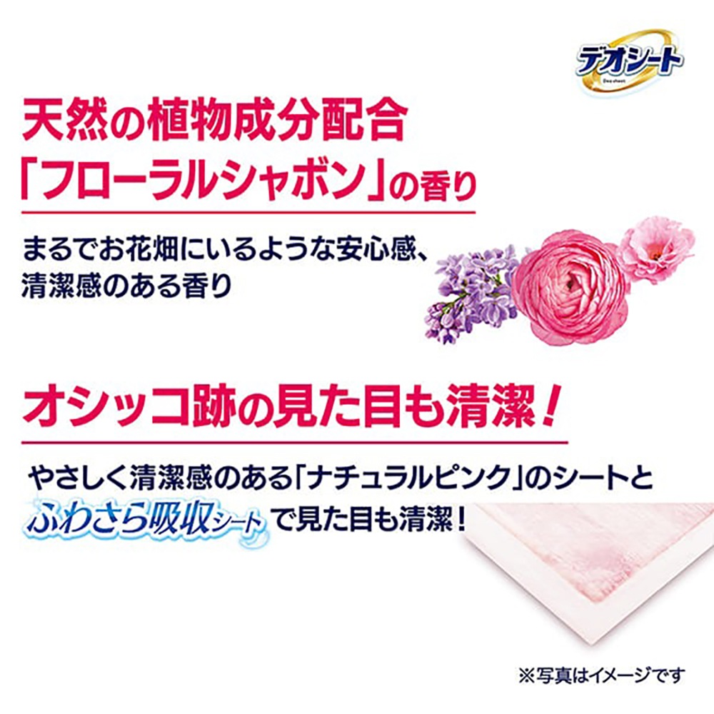 ��60���4�ޡۥ�ˡ����㡼�� �ǥ������� �ý�&�ե쥰��� �ե�����륷��ܥ�ι�� �磻�� �ڥåȥ����� (�����ɥå�)