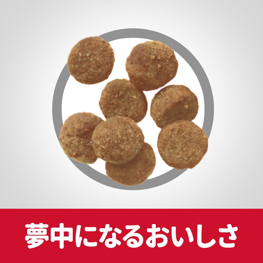 ��2.5kg��4�ޡۥҥ륺 �������󥹡��������å� �Ҵ��ʤ�ʢ������η򹯥��ݡ��� �������� 1�аʾ�������������� ������ �����Хå����ޤ��� (�����ɥå�)