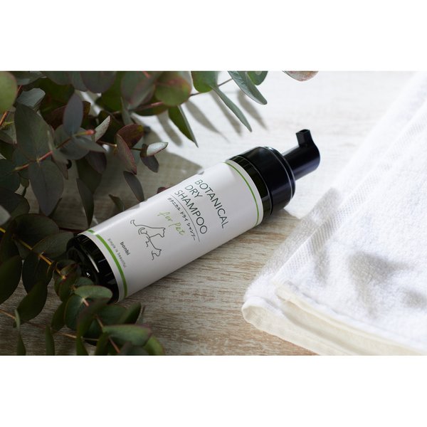 �ܥ�� �ܥ��˥���ɥ饤�����ס� 200ml