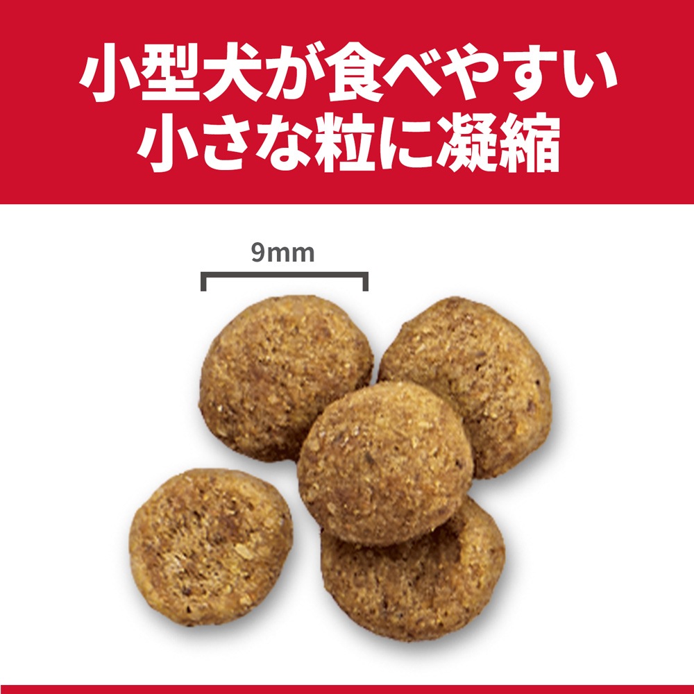 ��2.5kg��2�ޡۥҥ륺 �������󥹡��������å� ���� �������� ��ǥ�������� 1�аʾ�������������� ������ �����Хå����ޤ��� (�����ɥå�)