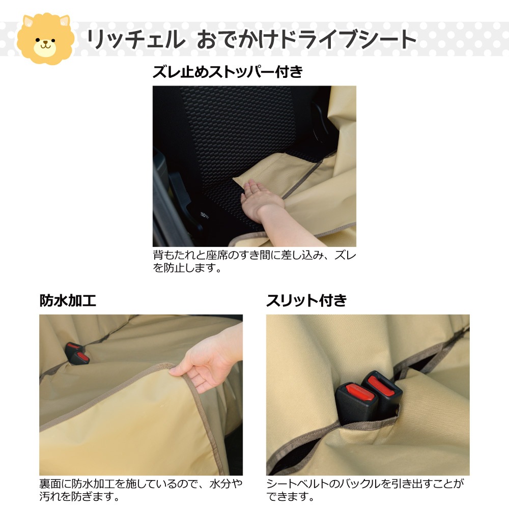 ��å����� ���Ǥ����ɥ饤�֥����� �֥롼���졼 (��ǭ����)