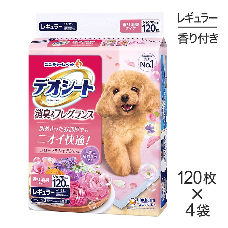 ��120���4�ޡۥ�ˡ����㡼�� �ǥ������� �ý�&�ե쥰��� �ե�����륷��ܥ�ι�� �쥮��顼 �ڥåȥ����� (�����ɥå�)