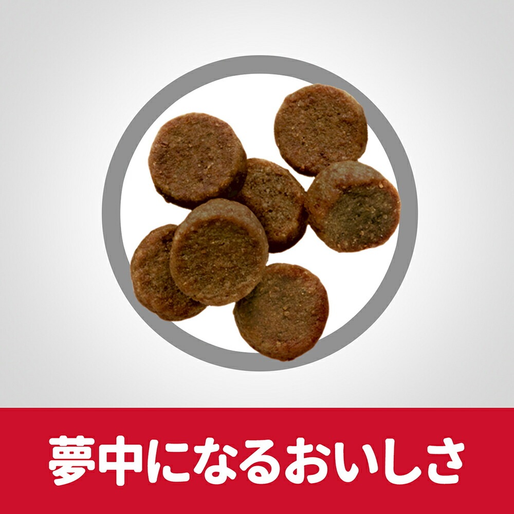 ��12kg��2�ޡۥҥ륺 �������󥹡��������å� �緿���� �ѥԡ� 18����ޤ� �Ҹ��� ������ �����Хå����ޤ��� (�����ɥå�)