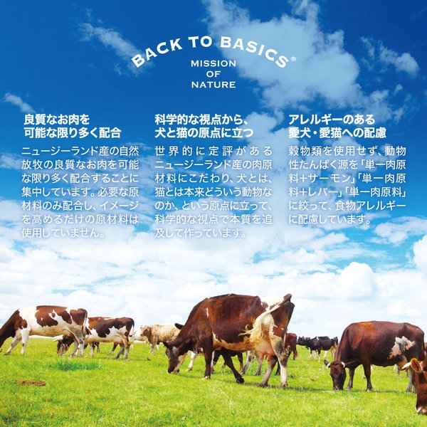 �������� Kiaora ����åȥա��� ���饹�ե��åɥӡ��ա���С� 900g (ǭ������å�)[������]