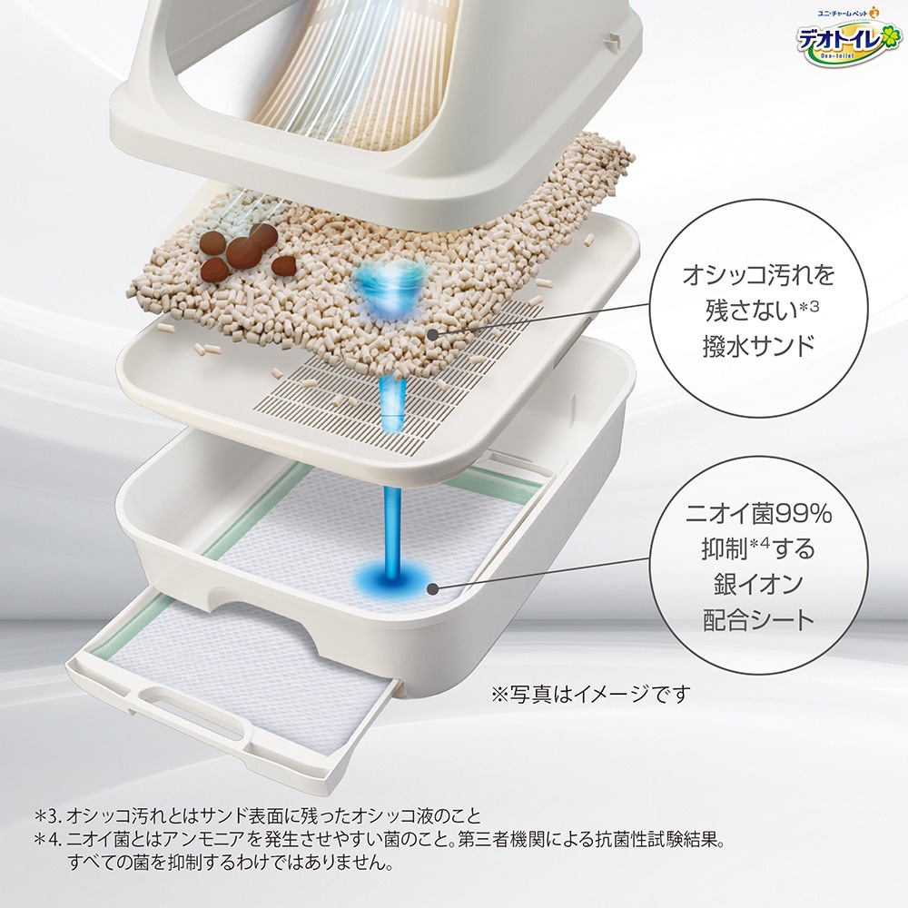 ��ˡ����㡼�� �ǥ��ȥ��� æ���ե���+ ���Υ��å� �����ƥ�ȥ��� (ǭ������å�)