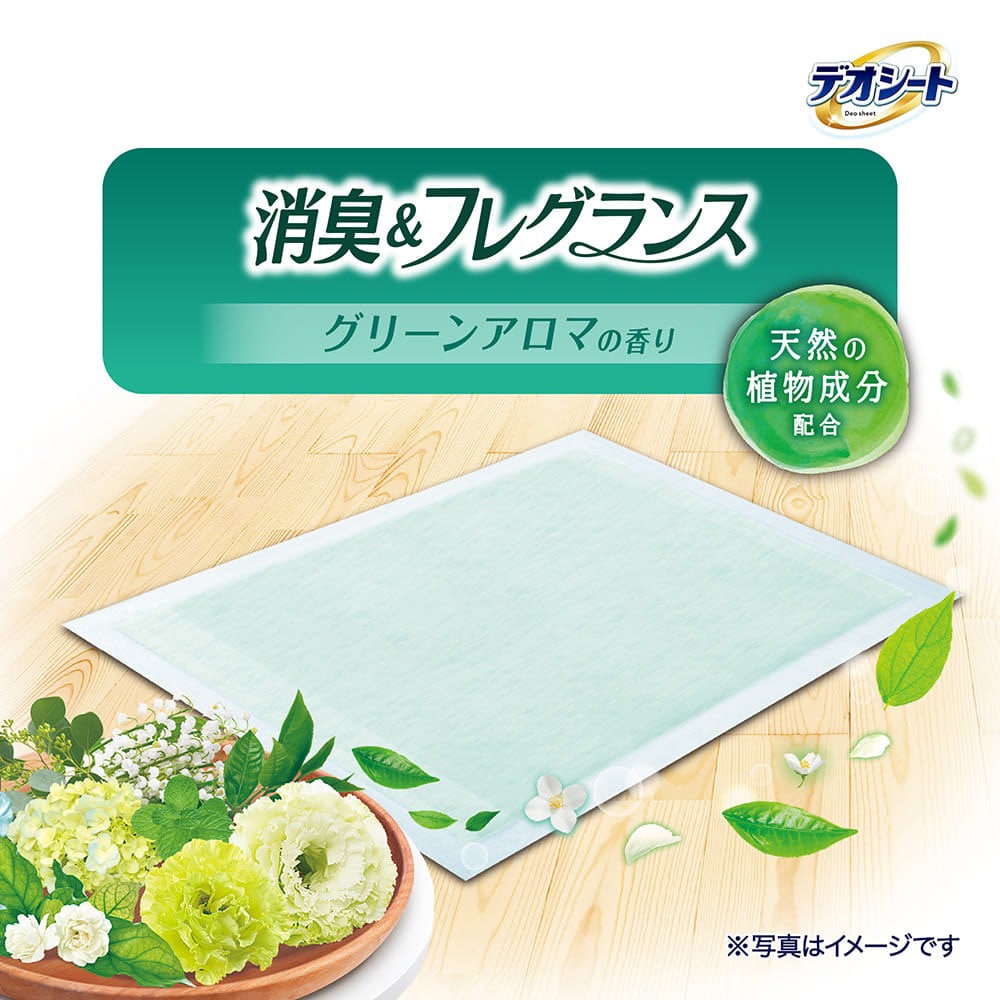 ��60���4�ޡۥ�ˡ����㡼�� �ǥ������� �ý�&�ե쥰��� ���꡼�󥢥��ޤι�� �磻�� �ڥåȥ����� (�����ɥå�)