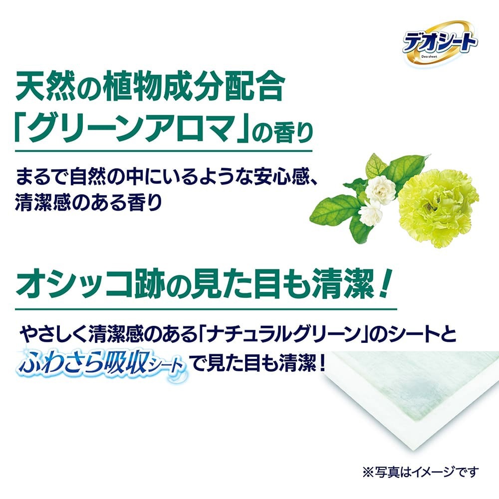 ��60���4�ޡۥ�ˡ����㡼�� �ǥ������� �ý�&�ե쥰��� ���꡼�󥢥��ޤι�� �磻�� �ڥåȥ����� (�����ɥå�)