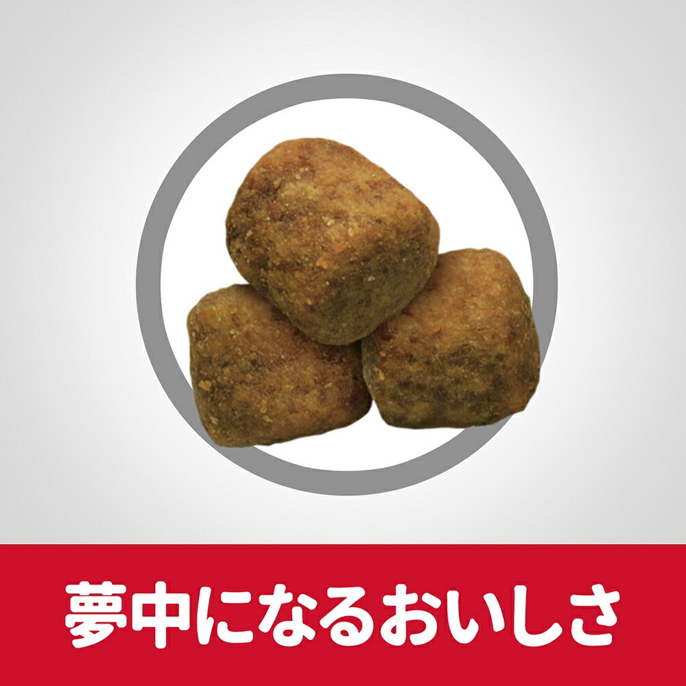 ��12kg��2�ޡۥҥ륺 �������󥹡��������å� �緿���� ������� 1~5�� ������ ������ �����Хå����ޤ��� (�����ɥå�)