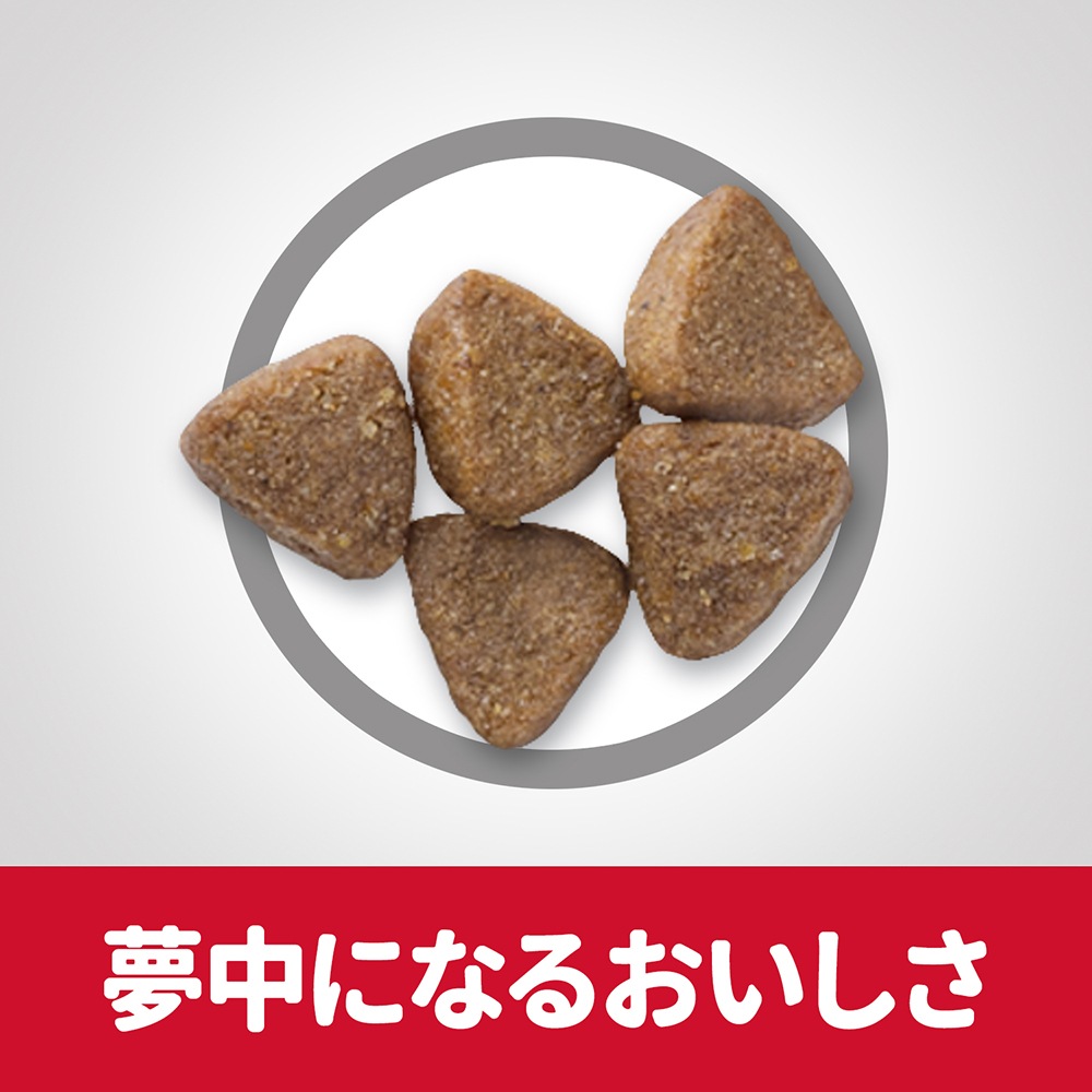 ҥ륺 󥹡å ȥ 12ޤ ǭ/ǥǭˤ ޤ 1.4kg (ǭå)