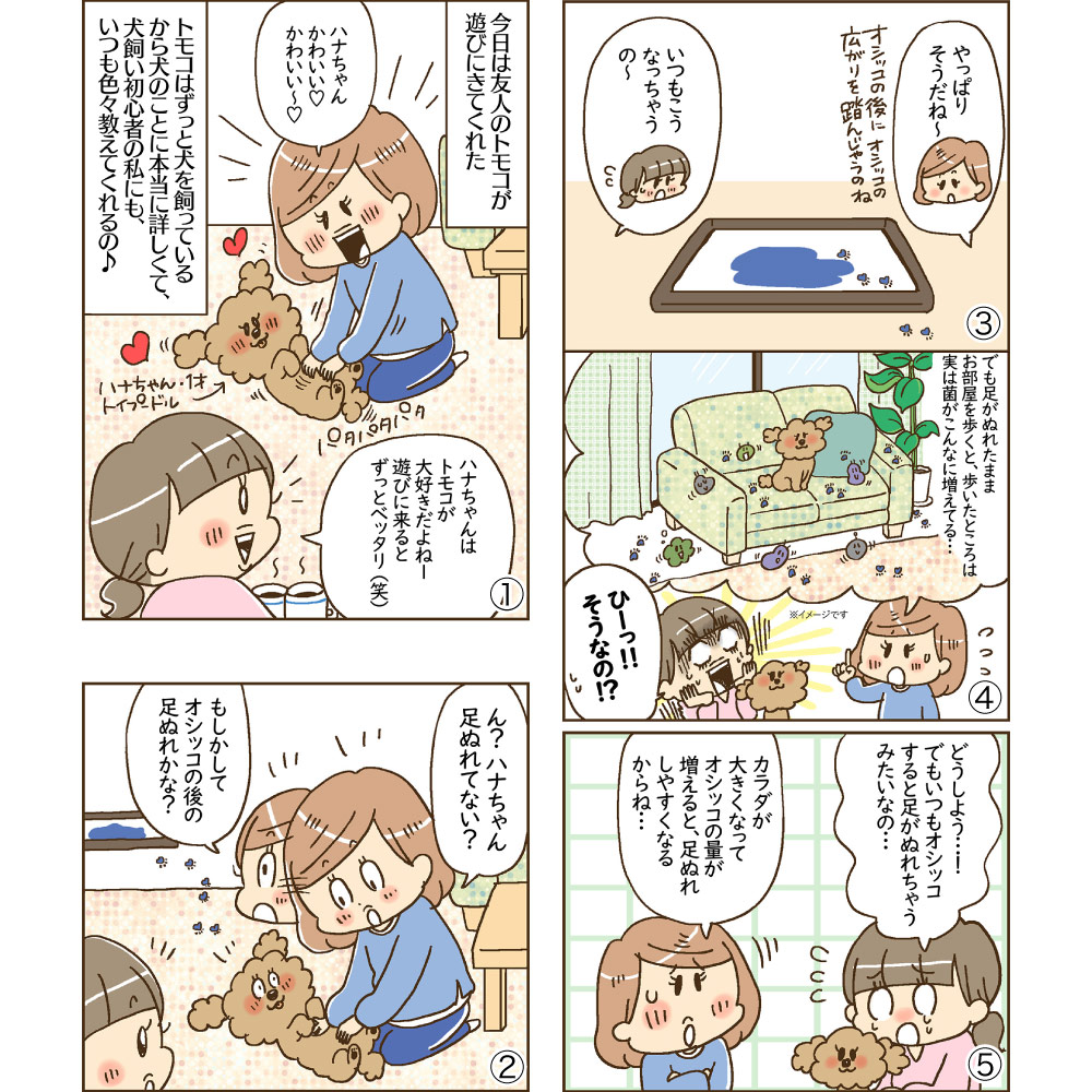 ˡ㡼 ǥ äĶۼ ̵ý 쥮顼 ڥåȥ 112(ɥå)