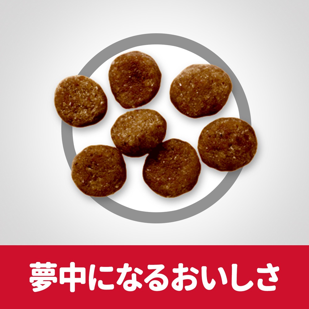 �ҥ륺 �������󥹡��������å� �������� ������� �饤�� 1~6�� ���������������� ������ 1.5kg (�����ɥå�)