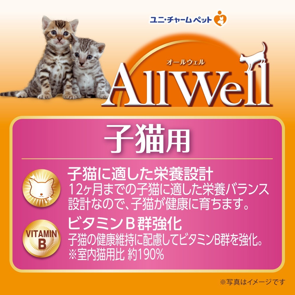 ��800g��4�ޡۥ�ˡ����㡼�� AllWell �򹯤˰�Ļ�ǭ�� �ե��å���̣ �Ԥ������Ȥ����ߥե꡼���ɥ饤�ѥ��������� (ǭ������å�)