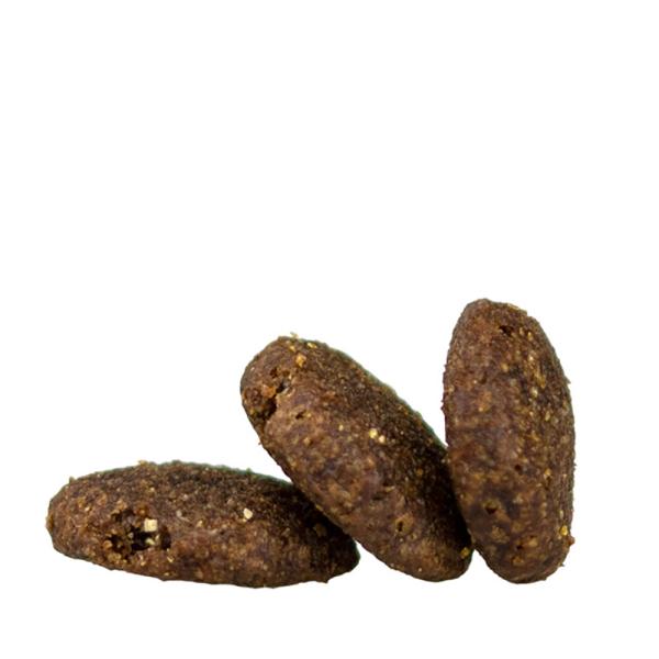 �ڥ᡼���ءۡ�80g��4�ޡ�HAPPY DOG �ե��å�&�Х����� �ߥǥ����� ������� �淿�� ������(�����ɥå�)[������]