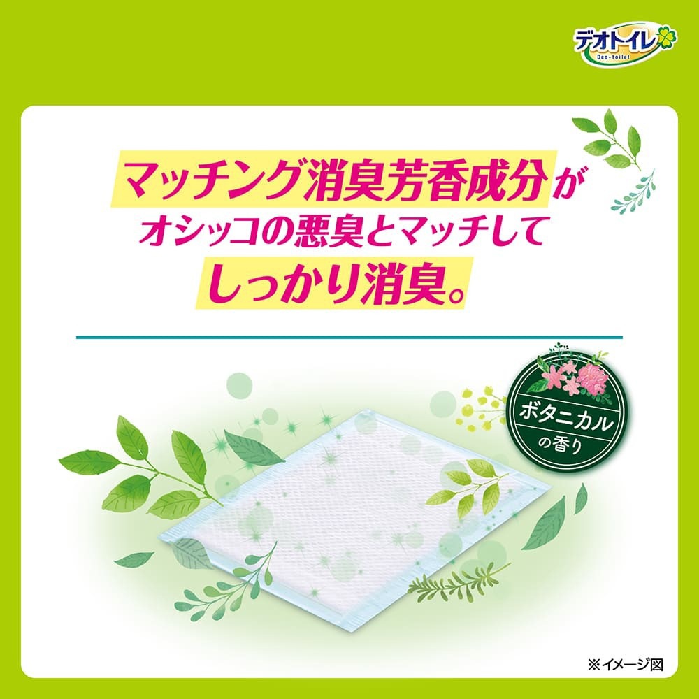 ��20���12�ޡۥ�ˡ����㡼�� �ǥ��ȥ��� �դ����� �ý������ݥ����� �ܥ��˥���ι�� �����ƥ�ȥ����� (ǭ������å�)