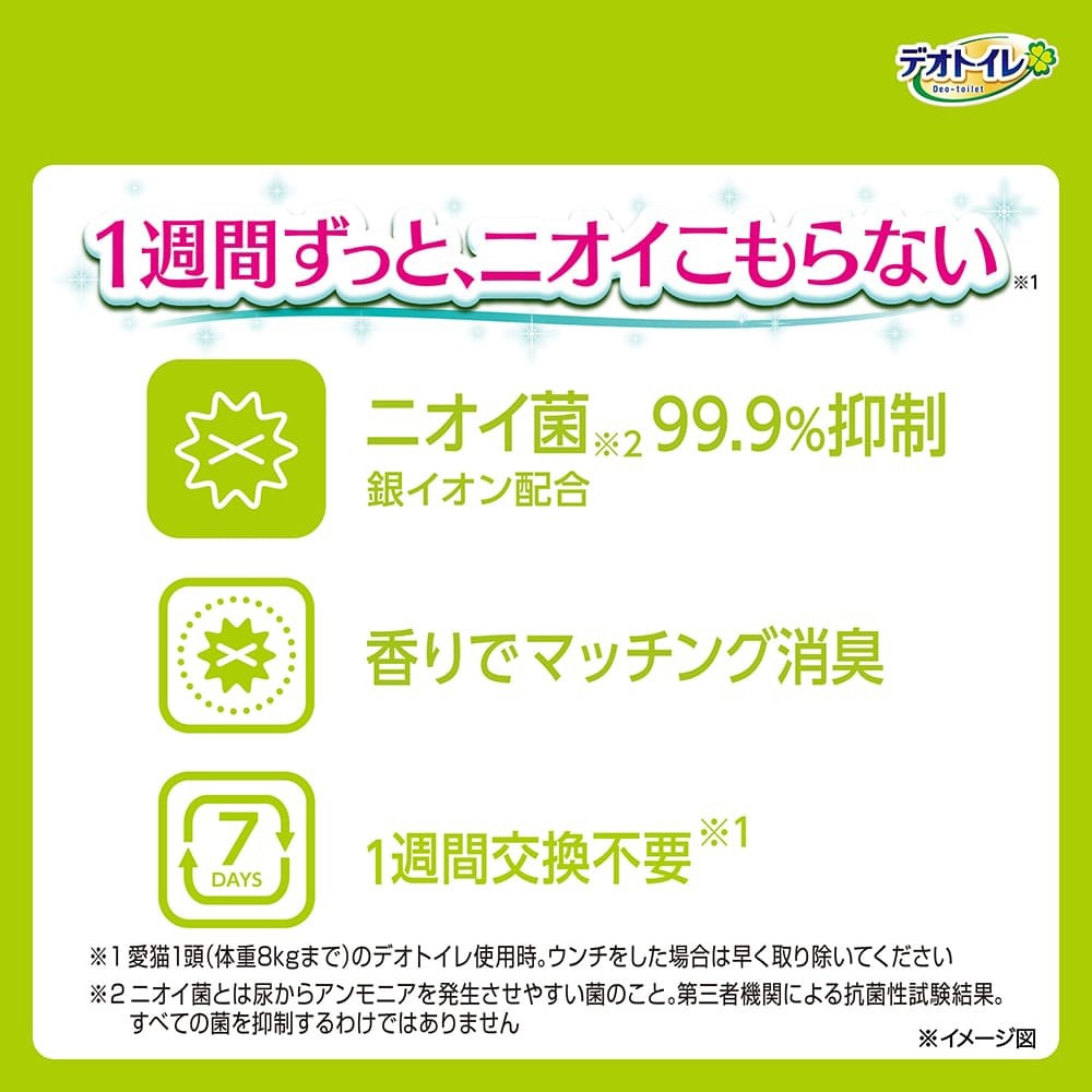 ��20���12�ޡۥ�ˡ����㡼�� �ǥ��ȥ��� �դ����� �ý������ݥ����� �ܥ��˥���ι�� �����ƥ�ȥ����� (ǭ������å�)