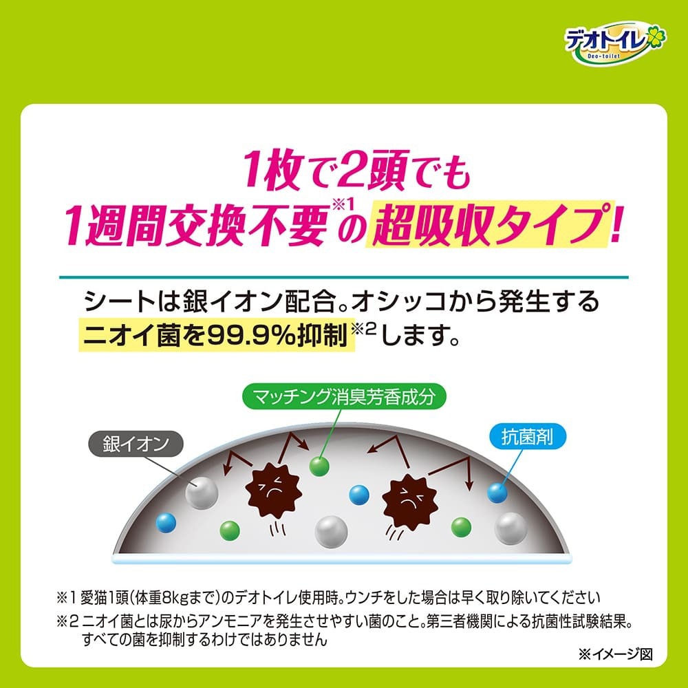 ��16���12�ޡۥ�ˡ����㡼�� �ǥ��ȥ��� ʣ���ͤ��� �դ����� �ý������ݥ����� �ʥ����륬���ǥ�ι�� �����ƥ�ȥ����� (ǭ������å�)