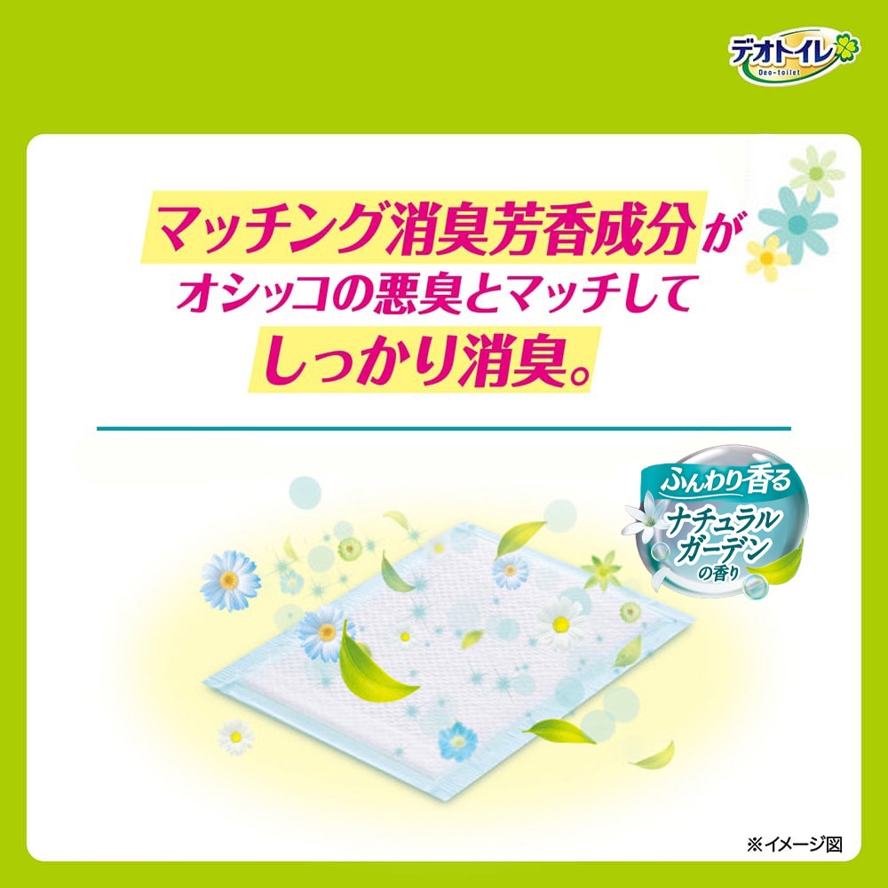 ��16���12�ޡۥ�ˡ����㡼�� �ǥ��ȥ��� ʣ���ͤ��� �դ����� �ý������ݥ����� �ʥ����륬���ǥ�ι�� �����ƥ�ȥ����� (ǭ������å�)