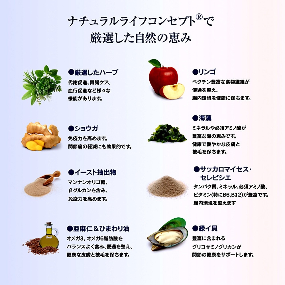 �ڥ᡼���ء�HAPPY DOG ���󥷥֥� ��󥿥� ����륮������ �桦�緿�� ���������˥����� 80g(�����ɥå�)[������][M�� 1/5]