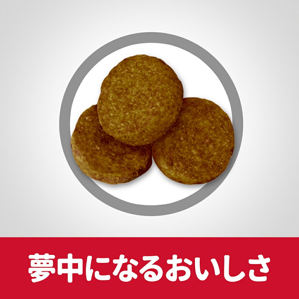 ��12kg��2�ޡۥҥ륺 �������󥹡��������å� �緿���� ������� �饤�� 1~5�� ���������������� ������ �����Хå����ޤ��� (�����ɥå�)