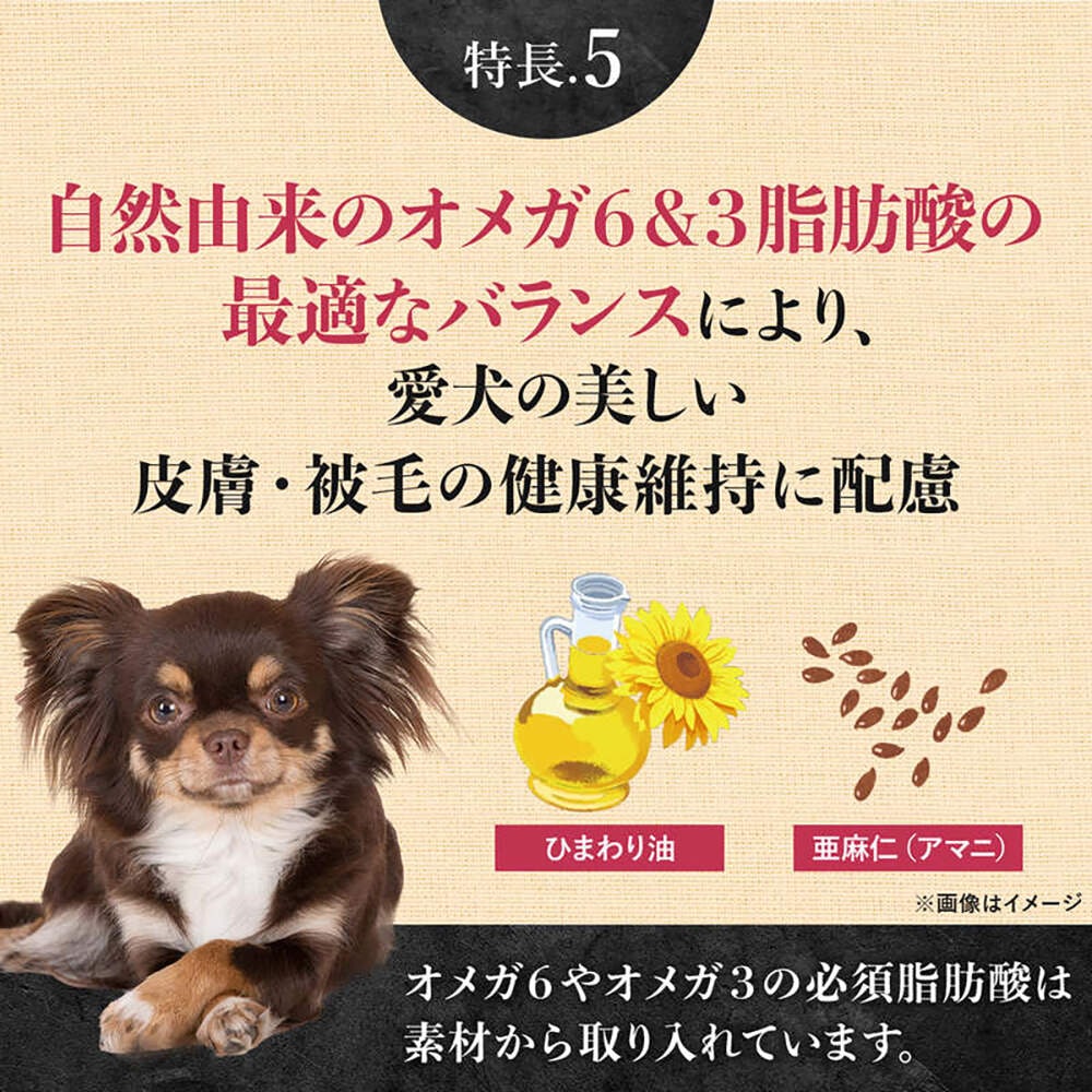 ��500g��10�ޡۥ˥塼�ȥ� ����ץ�� �ץ�ߥ���֥��� Ķ���������������� ������ ���(�����ɥå�)[������]