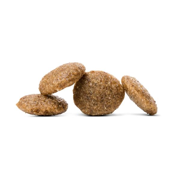 �ڥ᡼���ءۡ�80g��4�ޡ�HAPPY DOG VET �إѥƥ��å� ��¡���� ������ ���������˥����� ��ˡ��(�����ɥå�)[������]