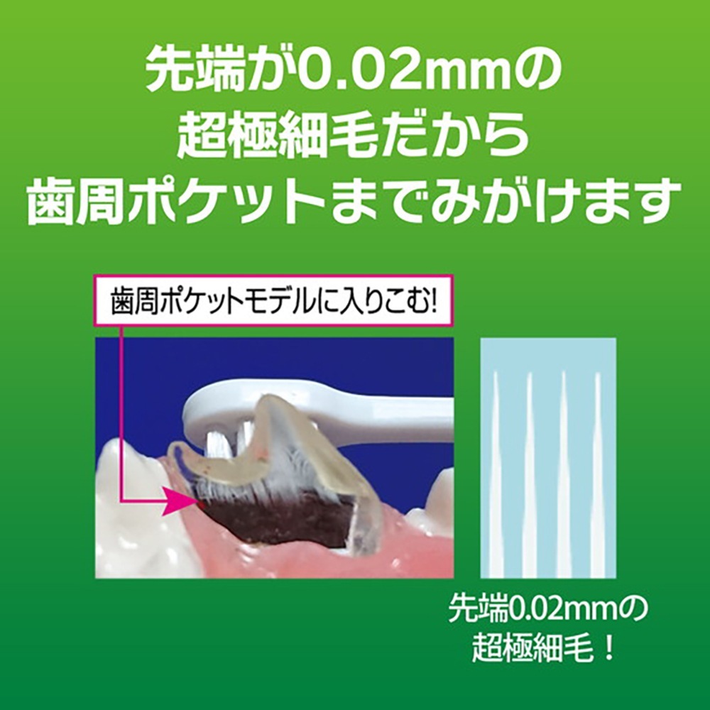 �ڥ᡼���ءۥ饤���� PETKISS �ǥ󥿥�֥饷 �礭��إå� 1��(��ǭ����)[M�� 1/6]