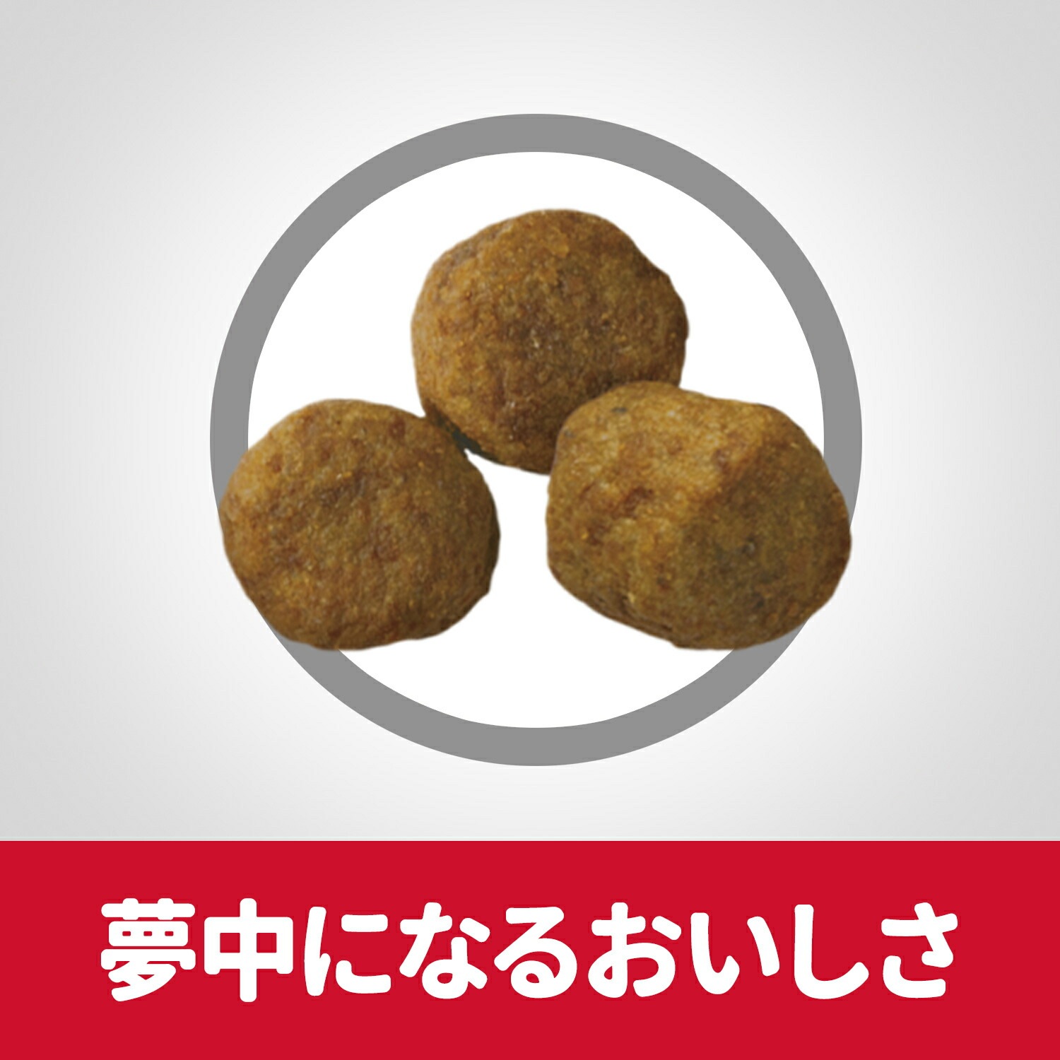 ��6.5kg��3�ޡۥҥ륺 �������󥹡��������å� ���˥� ��γ 7�аʾ� ������ ������ �����Хå����ޤ��� (�����ɥå�)