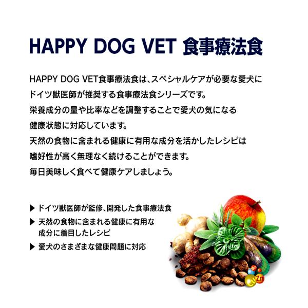 �ڥ᡼���ءۡ�80g��4�ޡ�HAPPY DOG VET ����ƥ��ƥ��ʥ� �ò��辰�� ������ ����������˥����� ��ˡ��(�����ɥå�)[������]