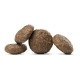 �ڥ᡼���ءۡ�80g��4�ޡ�HAPPY DOG VET ����ƥ��ƥ��ʥ� �ò��辰�� ������ ����������˥����� ��ˡ��(�����ɥå�)[������]