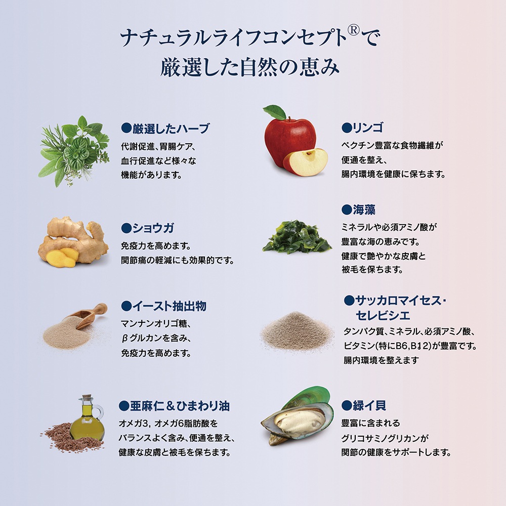 HAPPY DOG ���󥷥֥� ����ǥ��� �٥����ꥢ�� �桦�緿�� ���������˥����� 4kg (�����ɥå�)[������]